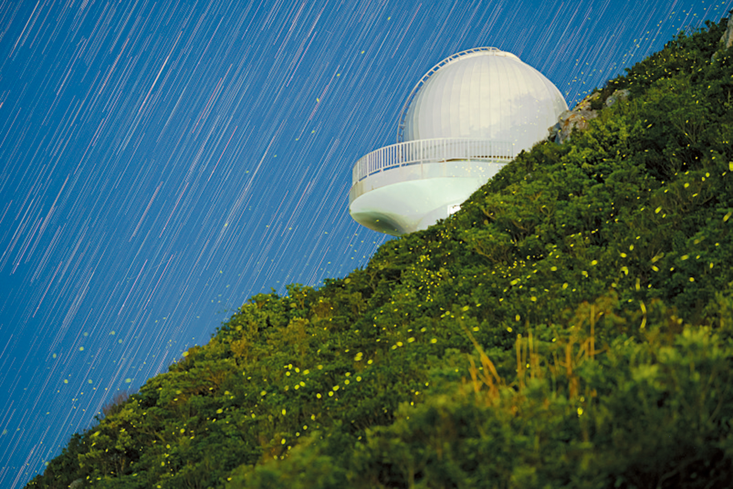 　　圖：深圳市天文台星空夜景。\受訪者供圖