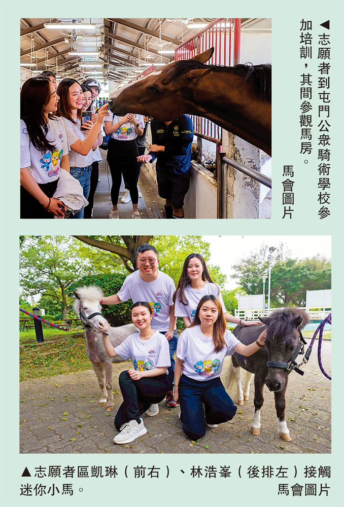 　　上圖：志願者到屯門公眾騎術學校參加培訓，其間參觀馬房。下圖：志願者區凱琳（前右）、林浩峯（後排左）接觸迷你小馬。\馬會圖片