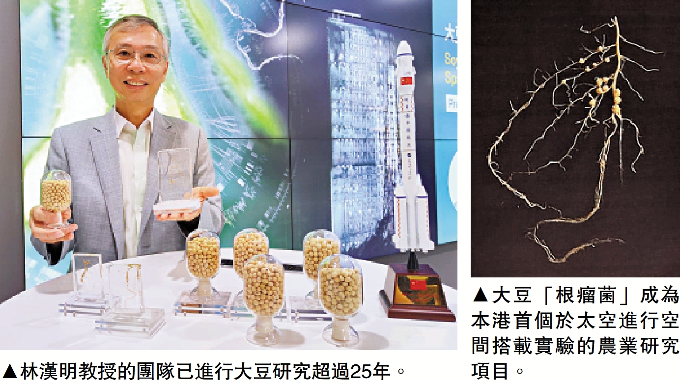　　左圖：林漢明教授的團隊已進行大豆研究超過25年。右圖：大豆「根瘤菌」成為本港首個於太空進行空間搭載實驗的農業研究項目。
