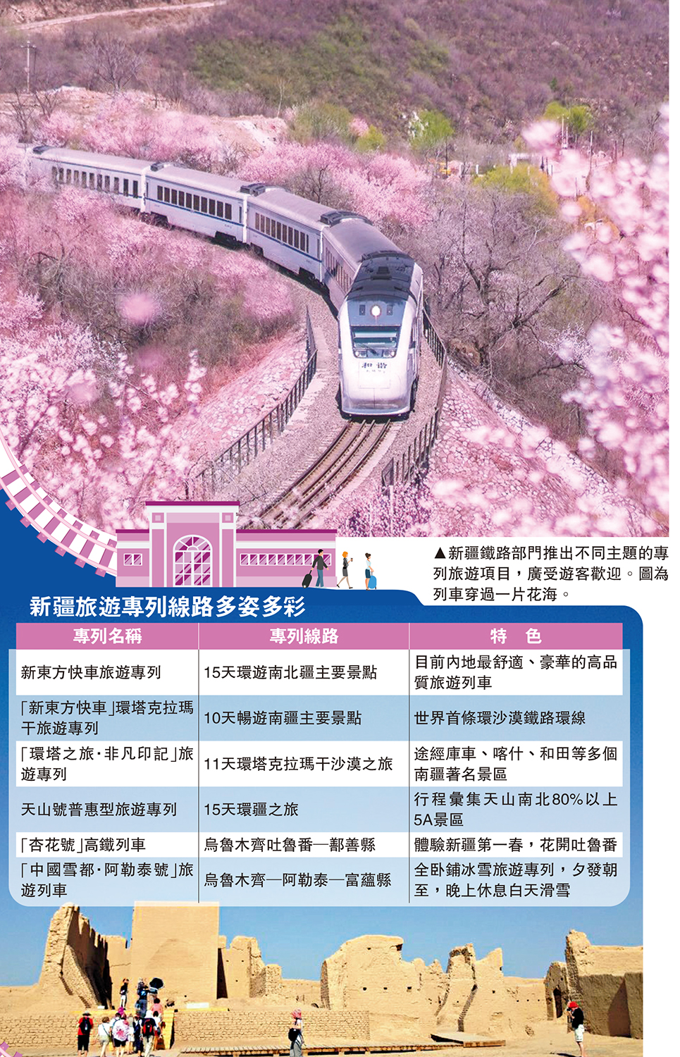 　　圖：新疆鐵路部門推出不同主題的專列旅遊項目，廣受遊客歡迎。圖為列車穿過一片花海。