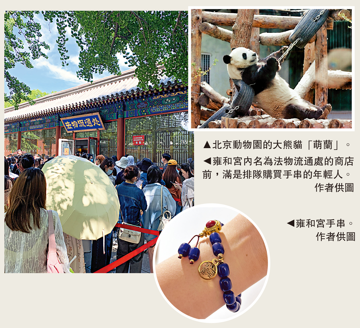 　　左圖：雍和宮內名為法物流通處的商店前，滿是排隊購買手串的年輕人。\作者供圖；右圖：北京動物園的大熊貓「萌蘭」。圓圖：雍和宮手串。\作者供圖