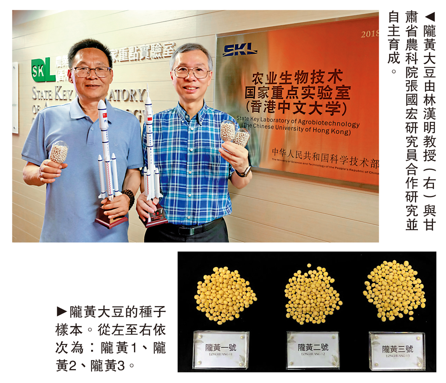 　　上圖：隴黃大豆由林漢明教授（右）與甘肅省農科院張國宏研究員合作研究並自主育成。下圖：隴黃大豆的種子樣本。從左至右依次為：隴黃1、隴黃2、隴黃3。