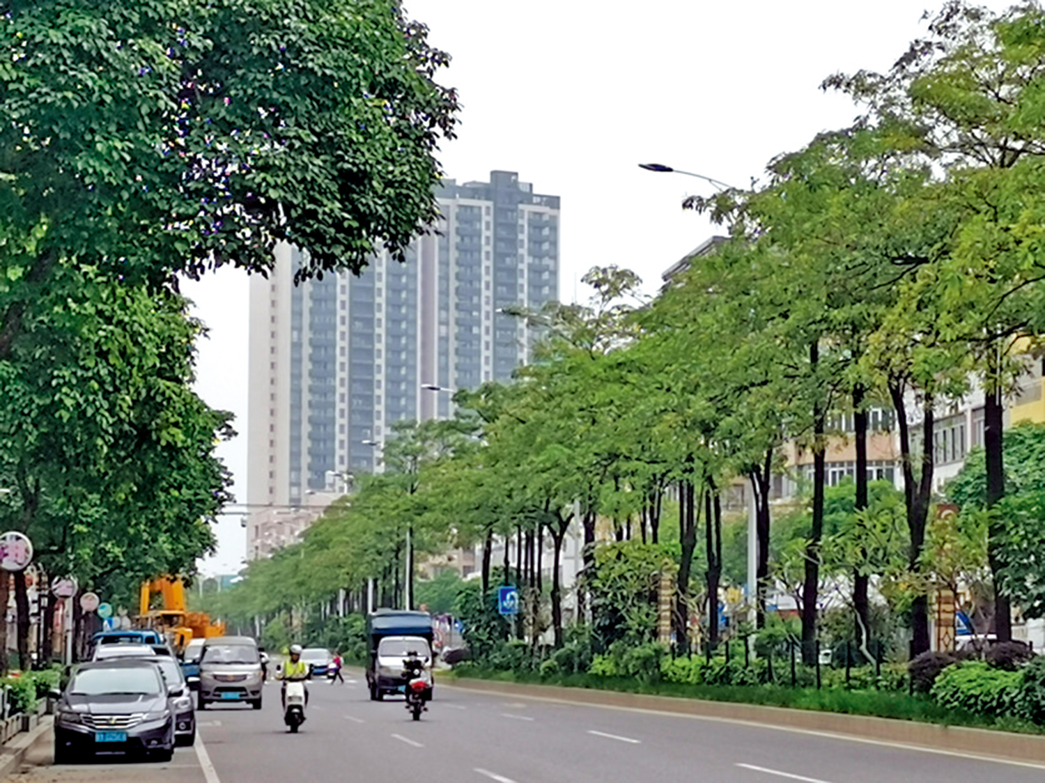 　　圖：佛山市九江鎮新街道。\作者供圖