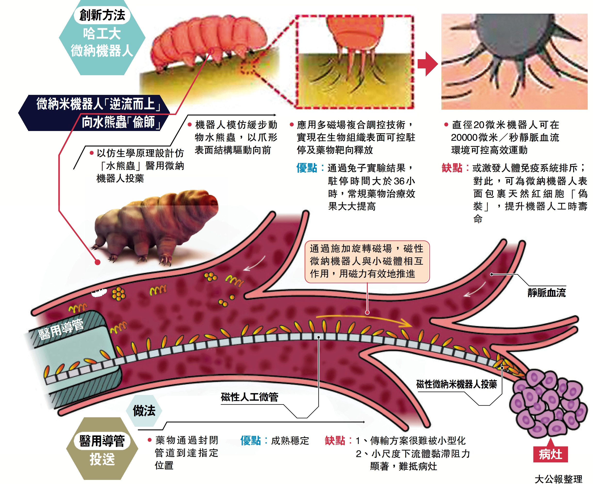 　　圖：微納米機器人「逆流而上」向水熊蟲「偷師」