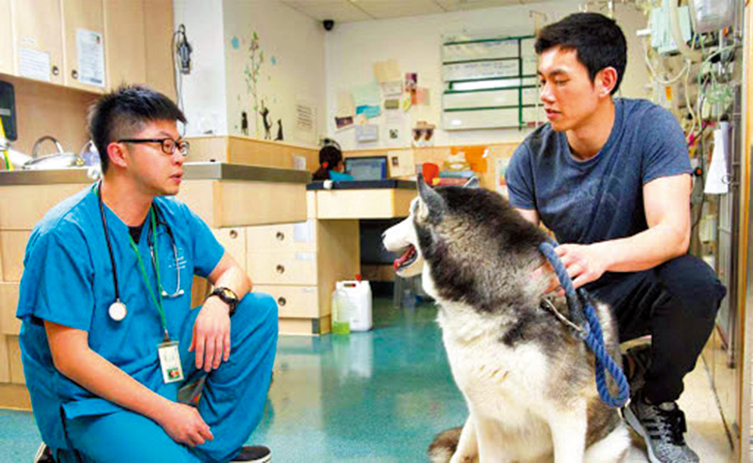 圖:城大首批12名獸醫學士課程學生即將畢業。