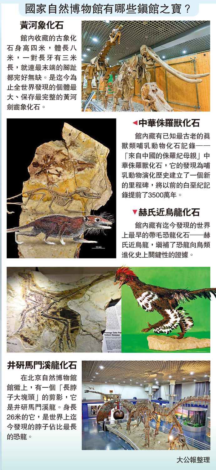 　　圖：國家自然博物館有哪些鎮館之寶？