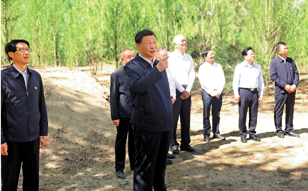 　　圖：6日上午，習近平在內蒙古巴彥淖爾臨河區國營新華林場考察，察看治沙造林情況。\新華社