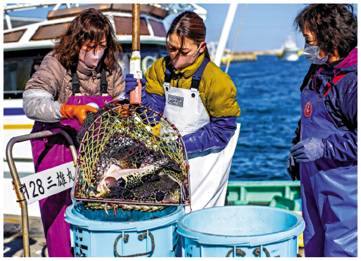 　　圖：日本漁民在福島捕獲的魚類，核污染程度令人擔心。