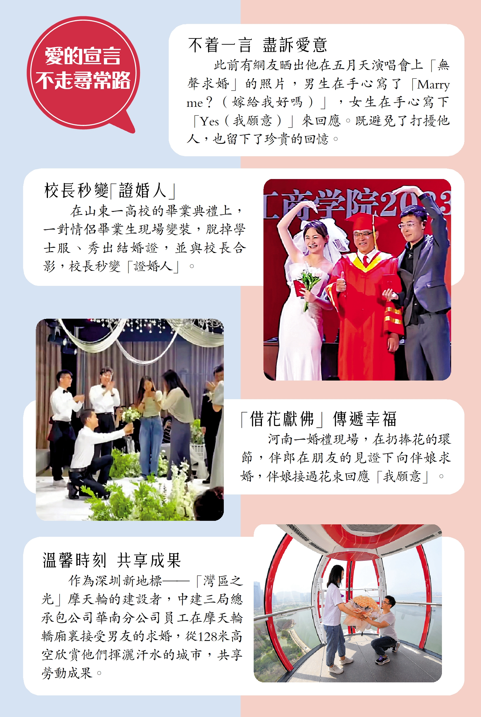 　　圖：愛的宣言 不走尋常路