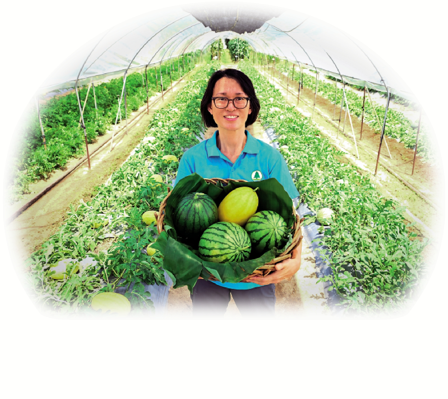 　　圖：「開心香港漁農嘉年華」首項活動「2023本地有機西瓜節」，將於端午節當日起舉行，漁護署特別推介今年四個特色有機西瓜品種。