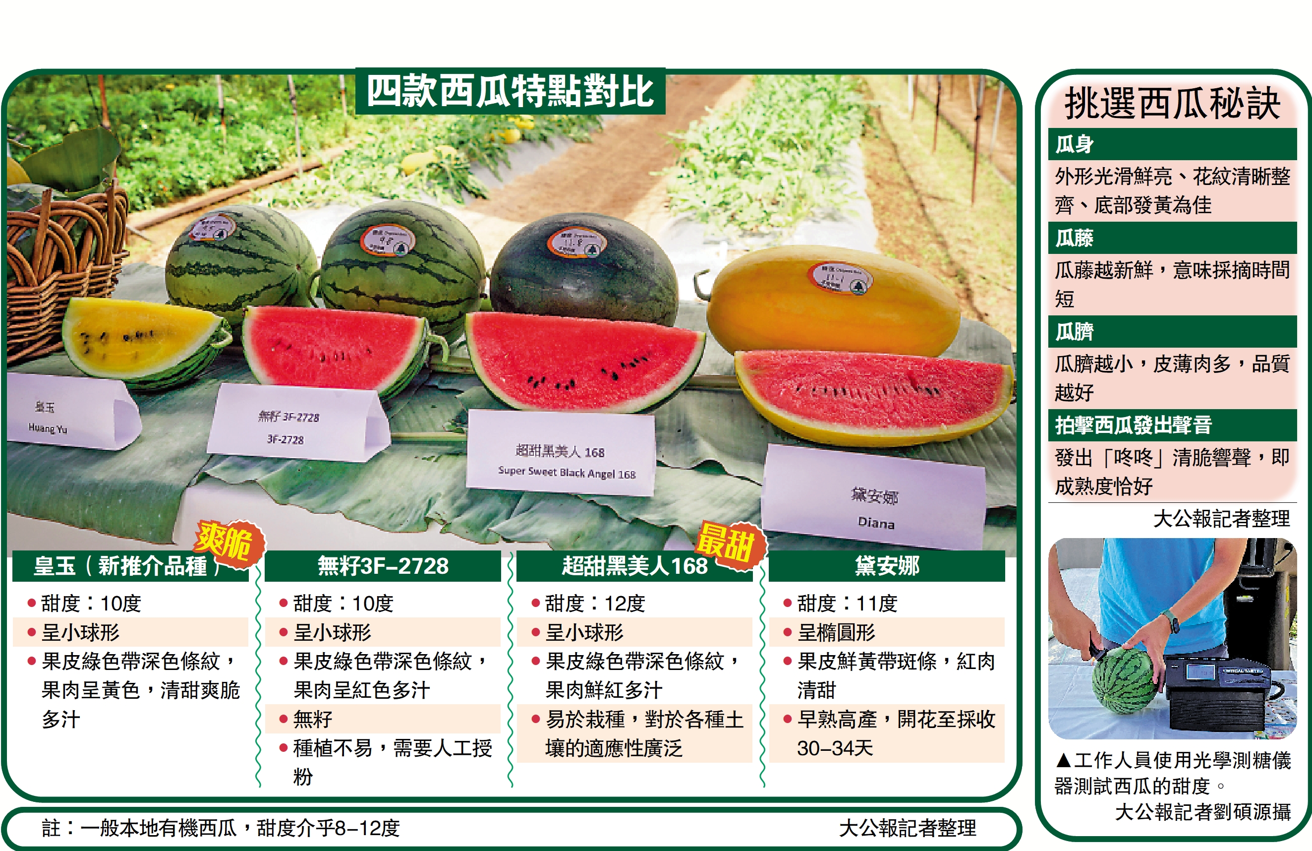 　　圖：四款西瓜特點對比