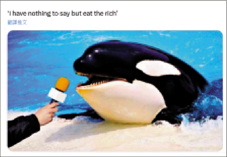 　　圖：網民製作的表情包，一隻虎鯨接受採訪，「我沒什麼好說的，我只想說，吃掉富人」。\網絡圖片
