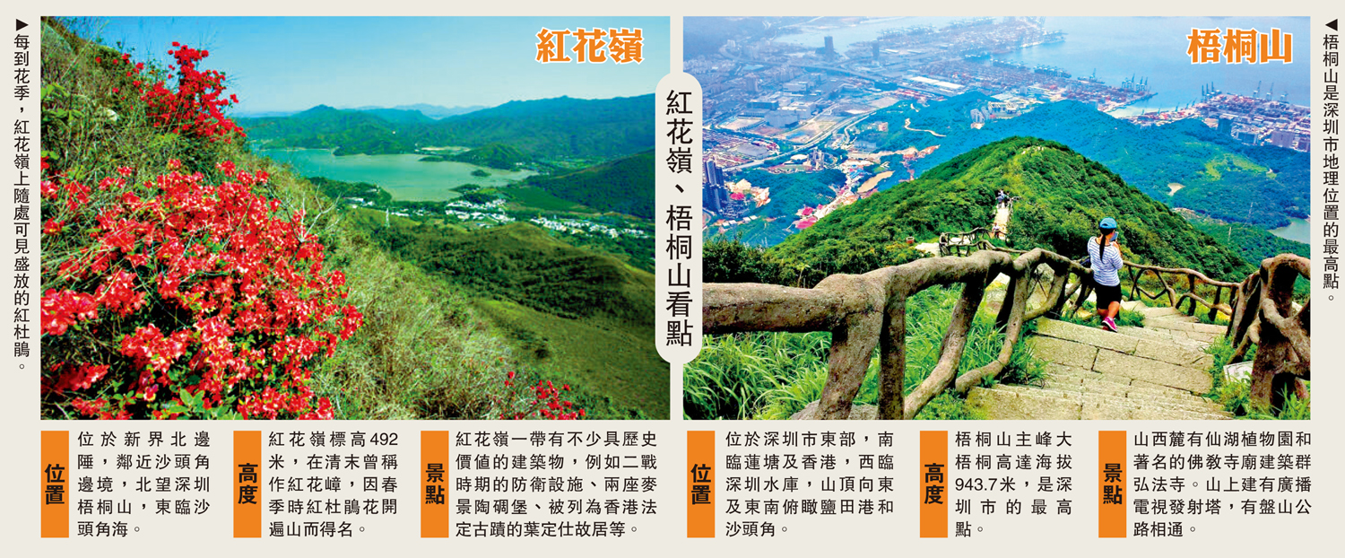 　　圖：紅花嶺、梧桐山看點