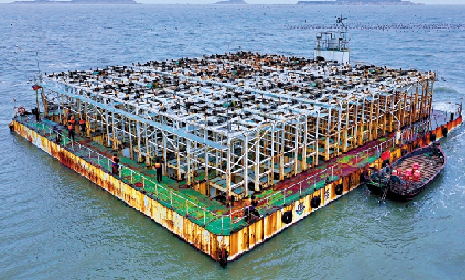 　　圖：福州連江縣深遠海鮑魚機械化養殖平台「福鮑1號」。\新華社