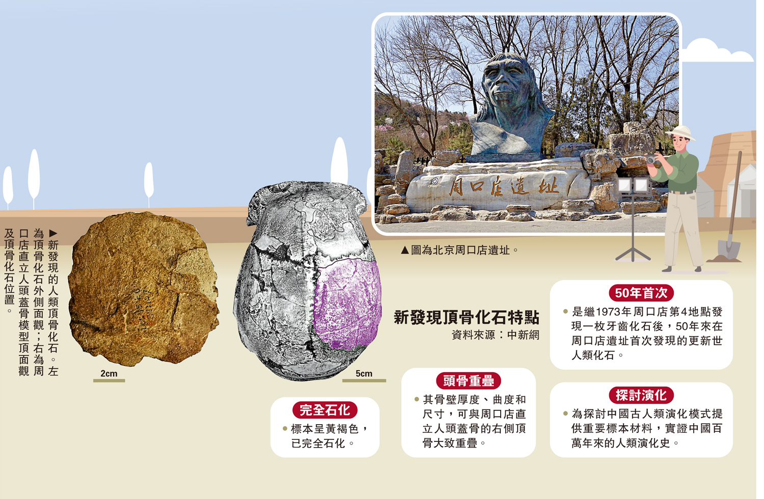 　　左圖：新發現的人類頂骨化石。左為頂骨化石外側面觀；右為周口店直立人頭蓋骨模型頂面觀及頂骨化石位置。右圖：圖為北京周口店遺址。