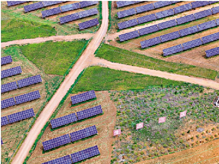 　　圖：航拍下的天驕綠能光伏板區。\大公報實習記者張皖博攝