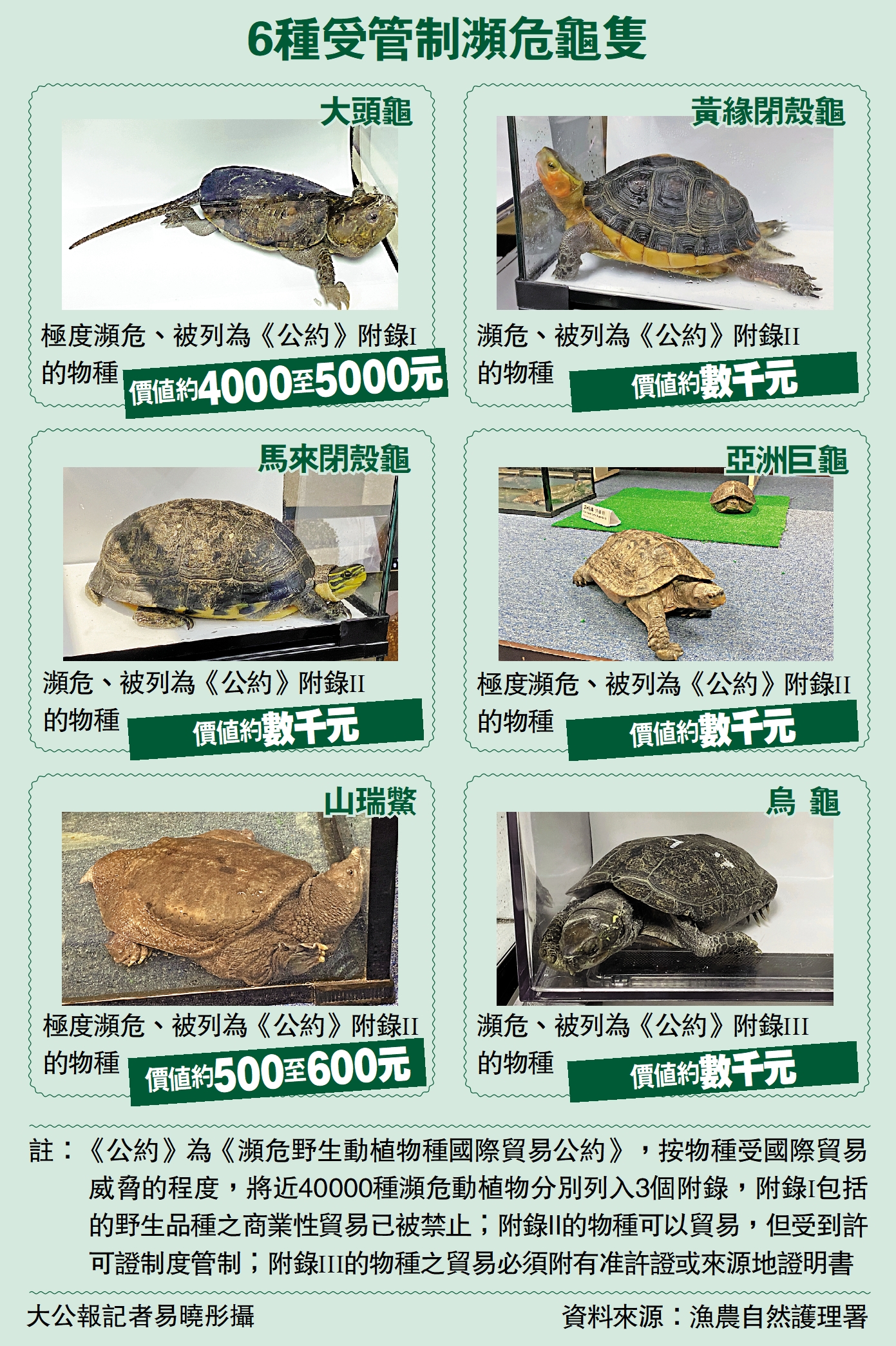 　　圖：6種受管制瀕危龜隻