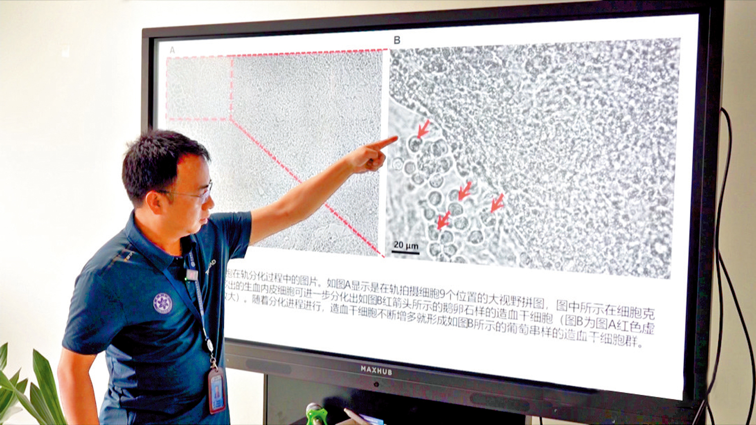　　圖：中國科學院深圳先進技術研究院工作人員對中國空間站太空造血實驗樣品開展比對分析。