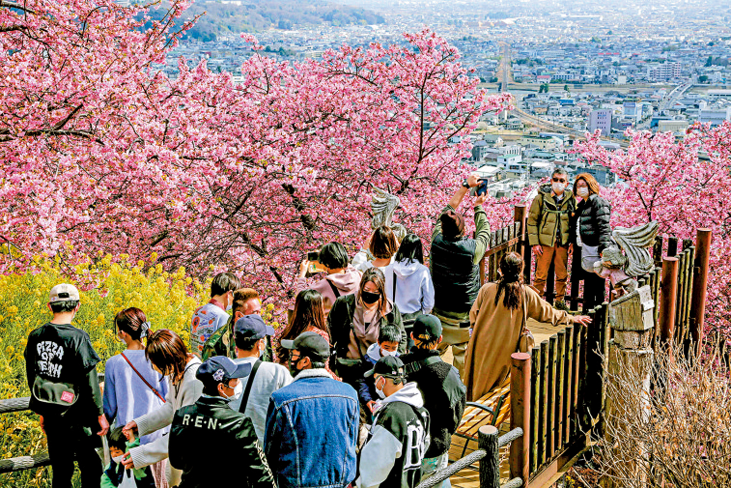 　　圖：受日本核污水排海影響，部分遊客更改赴日旅遊計劃。圖為遊客在日本熱門景區賞花。