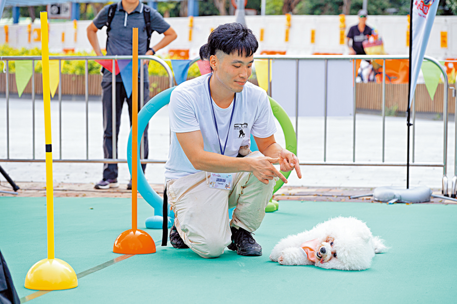 訓練犬隻要循序漸進 - 大公報