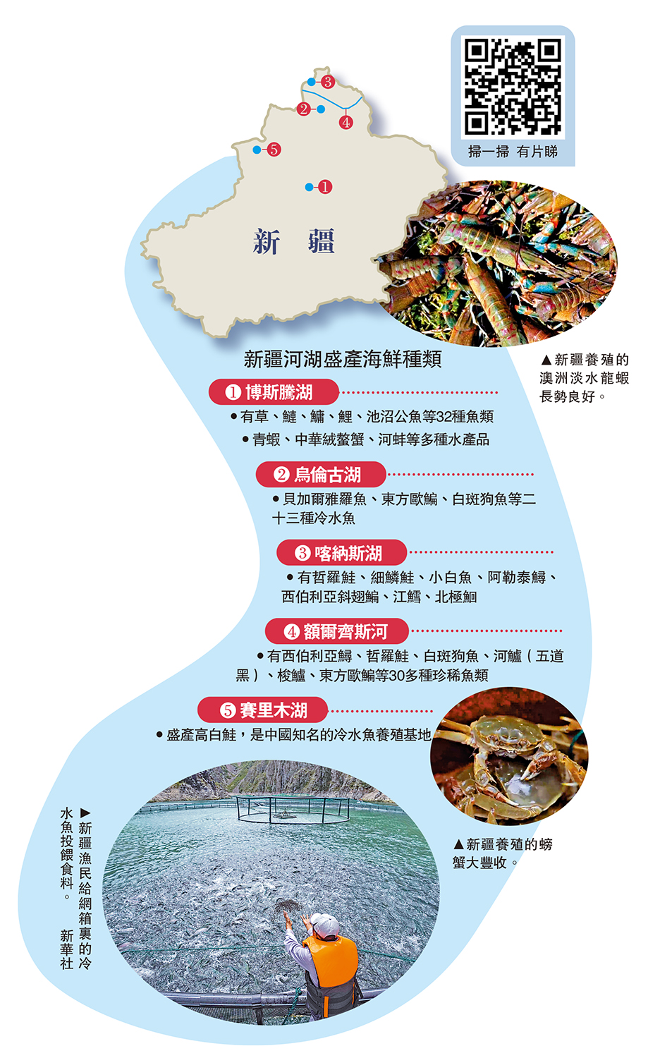 　　圖：新疆河湖盛產海鮮種類