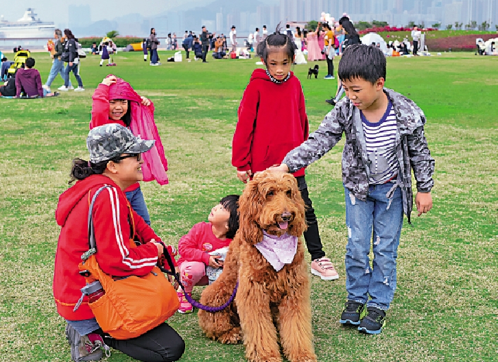 　　圖：狗狗與小朋友容易建立情感連結。