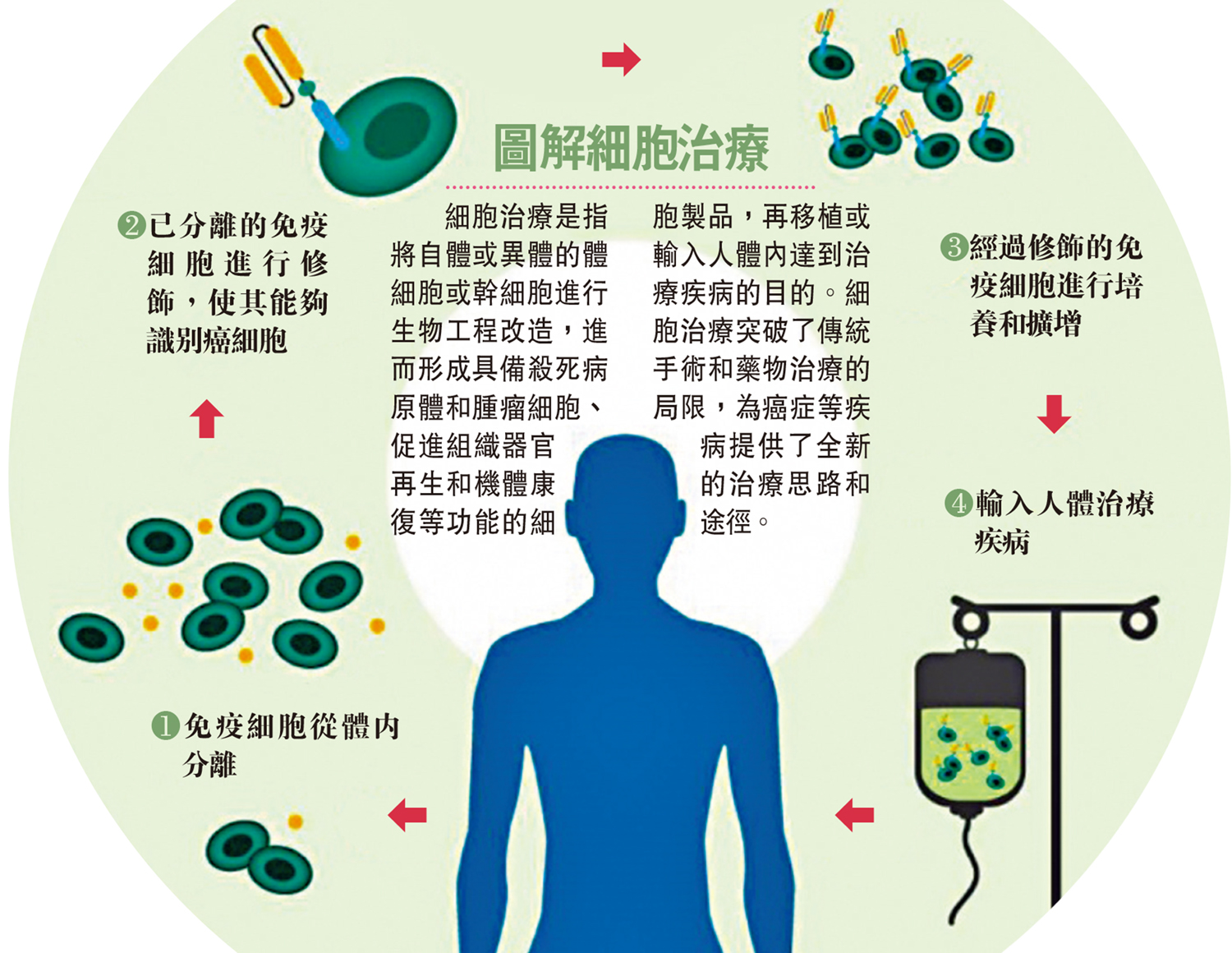 　　圖：圖解細胞治療