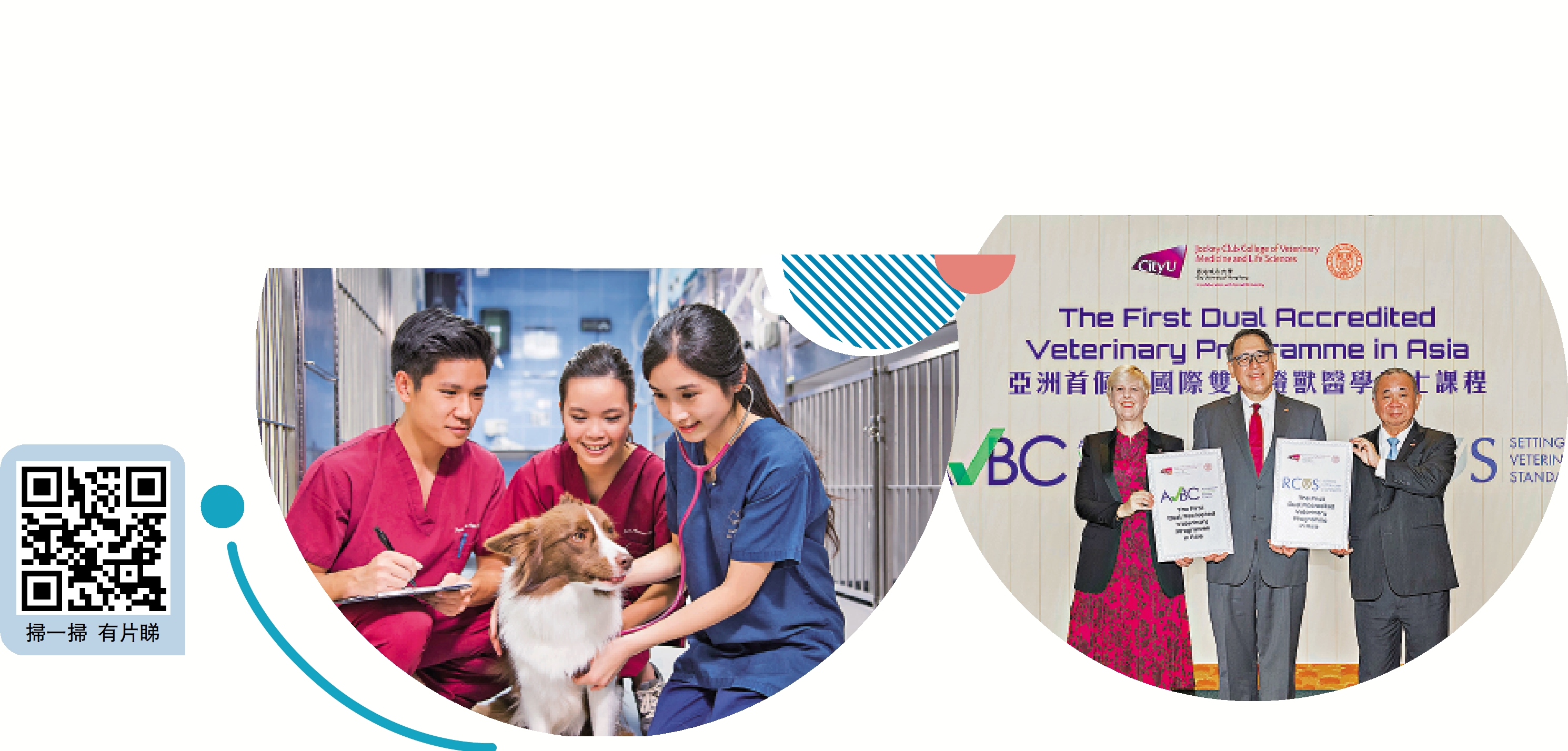 　　圖：城市大學6年制獸醫學學士課程獲得認證，11名學生下月畢業後可向香港獸醫管理局申請註冊成為獸醫。