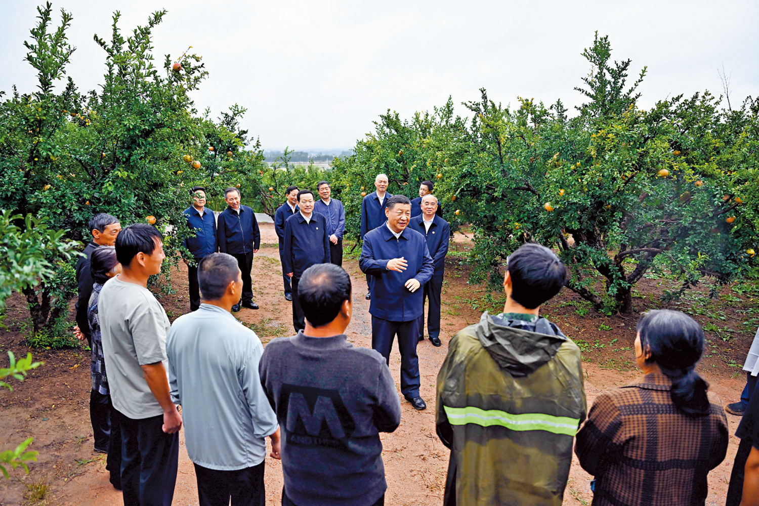 　　圖：24日，習近平在山東棗莊的冠世榴園石榴種植園同老鄉們親切交流。\新華社