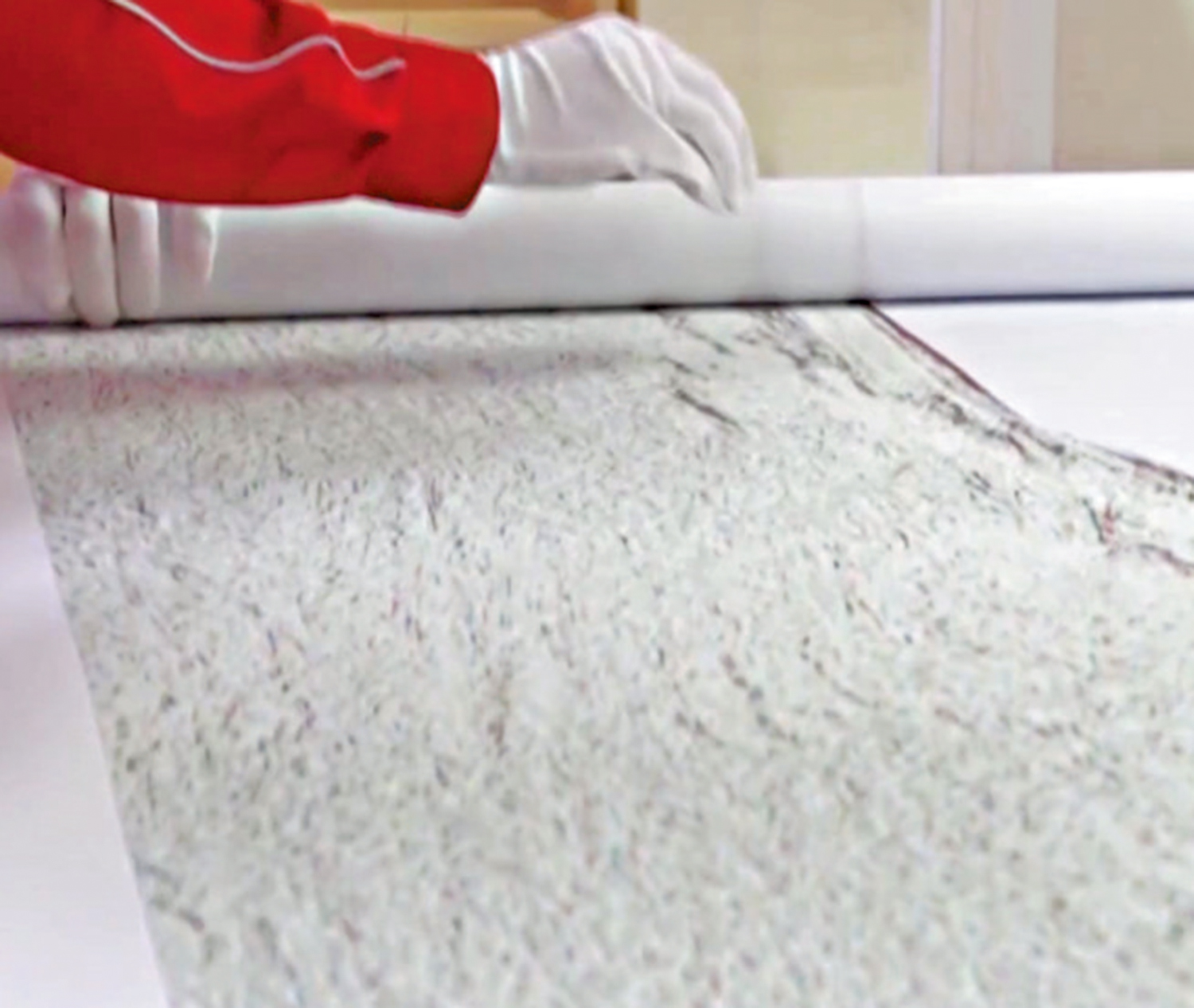 　　圖：專家正解釋此次測繪的3000米深水地質勘探圖。