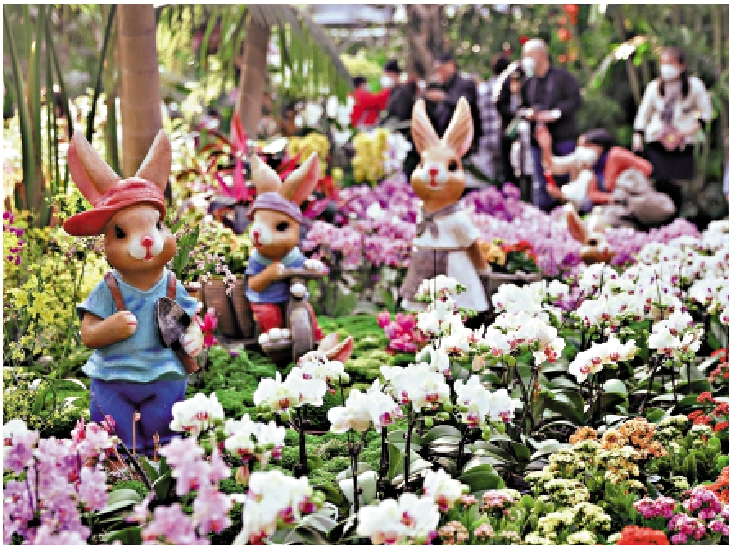 　　圖：大陸蘭花市場充滿商機，吸引台胞從事種植蘭花的行業。\資料圖片 
