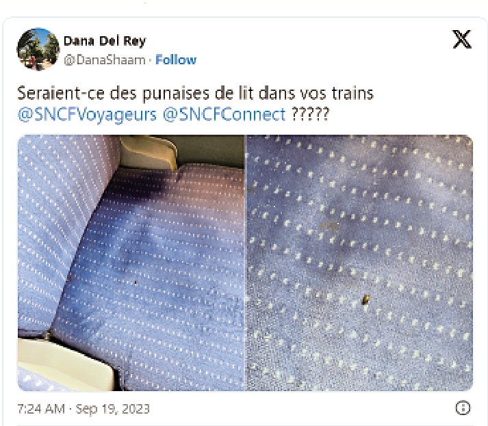 　　圖：網友在巴黎火車座位上聲稱發現床蝨。/網絡圖片