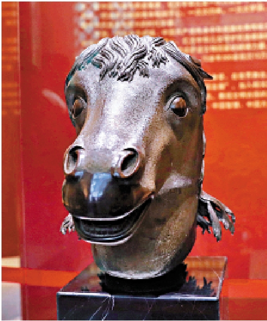 　　圖：近年來，圓明園馬首銅像多次展出，與公眾見面。