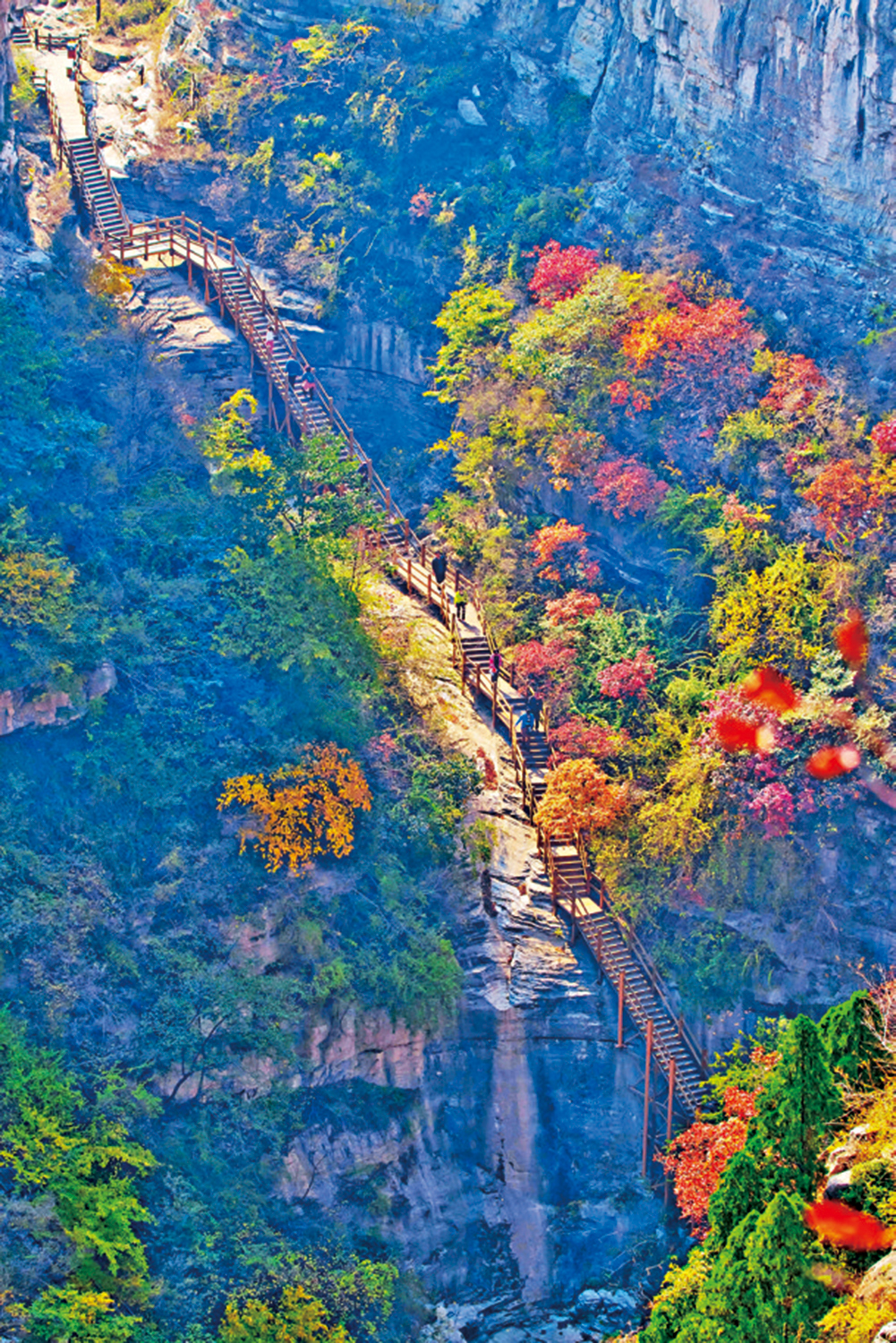 　　圖：泰和山秋色。\作者供圖