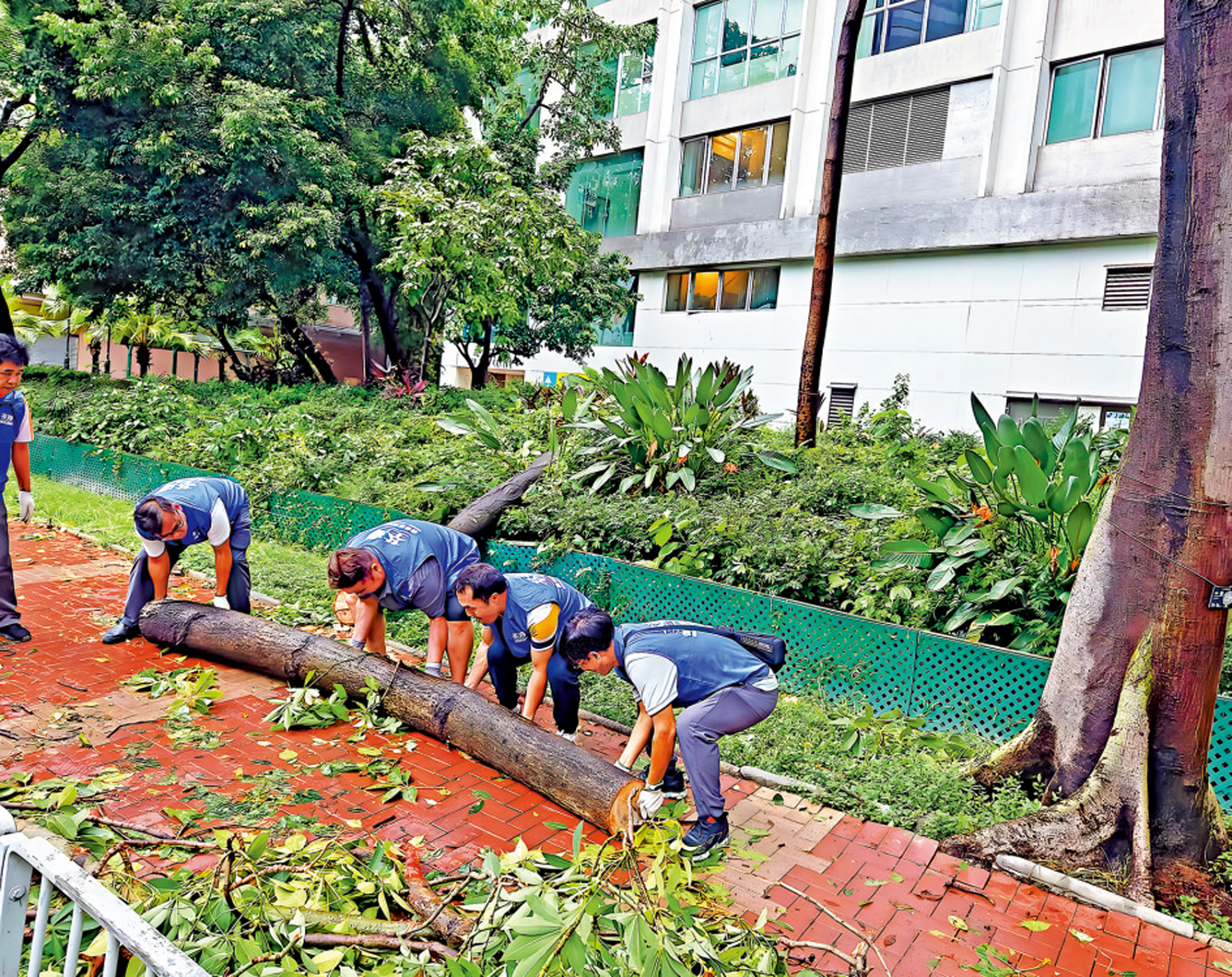 　　圖：有約460名關愛隊成員因有意參選或成為選舉代理人而暫停職務，但相信不會影響關愛隊服務。
