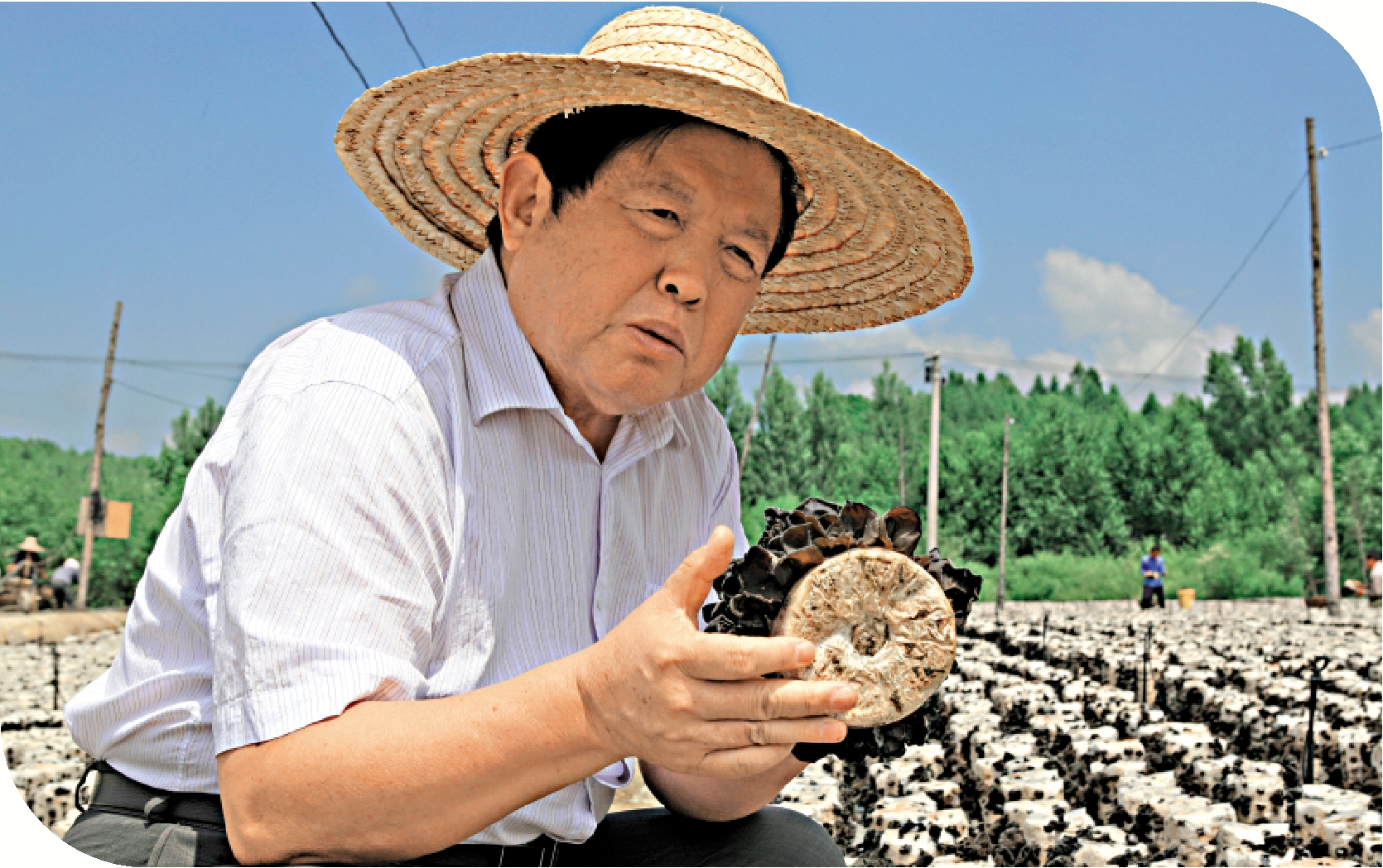　　圖：中國工程院院士李玉，是種菌專家，被國務院授予全國脫貧攻堅楷模榮譽稱號。