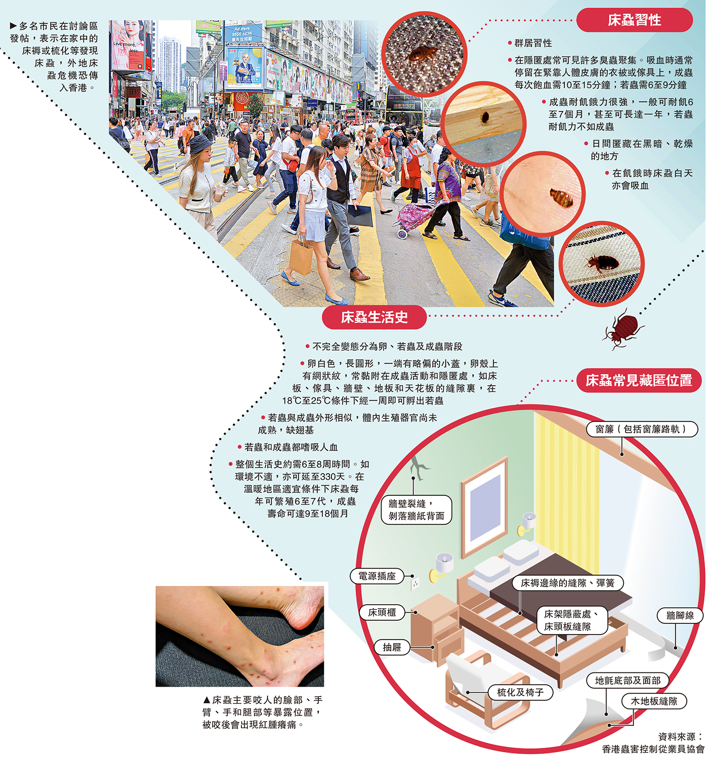 　　圖：多名市民在討論區發帖，表示在家中的床褥或梳化等發現床蝨，外地床蝨危機恐傳入香港。