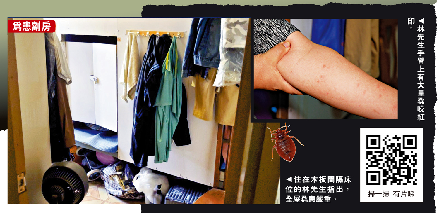 　　左圖：住在木板間隔床位的林先生指出，全屋蝨患嚴重。右圖：林先生手臂上有大量蝨咬紅印。