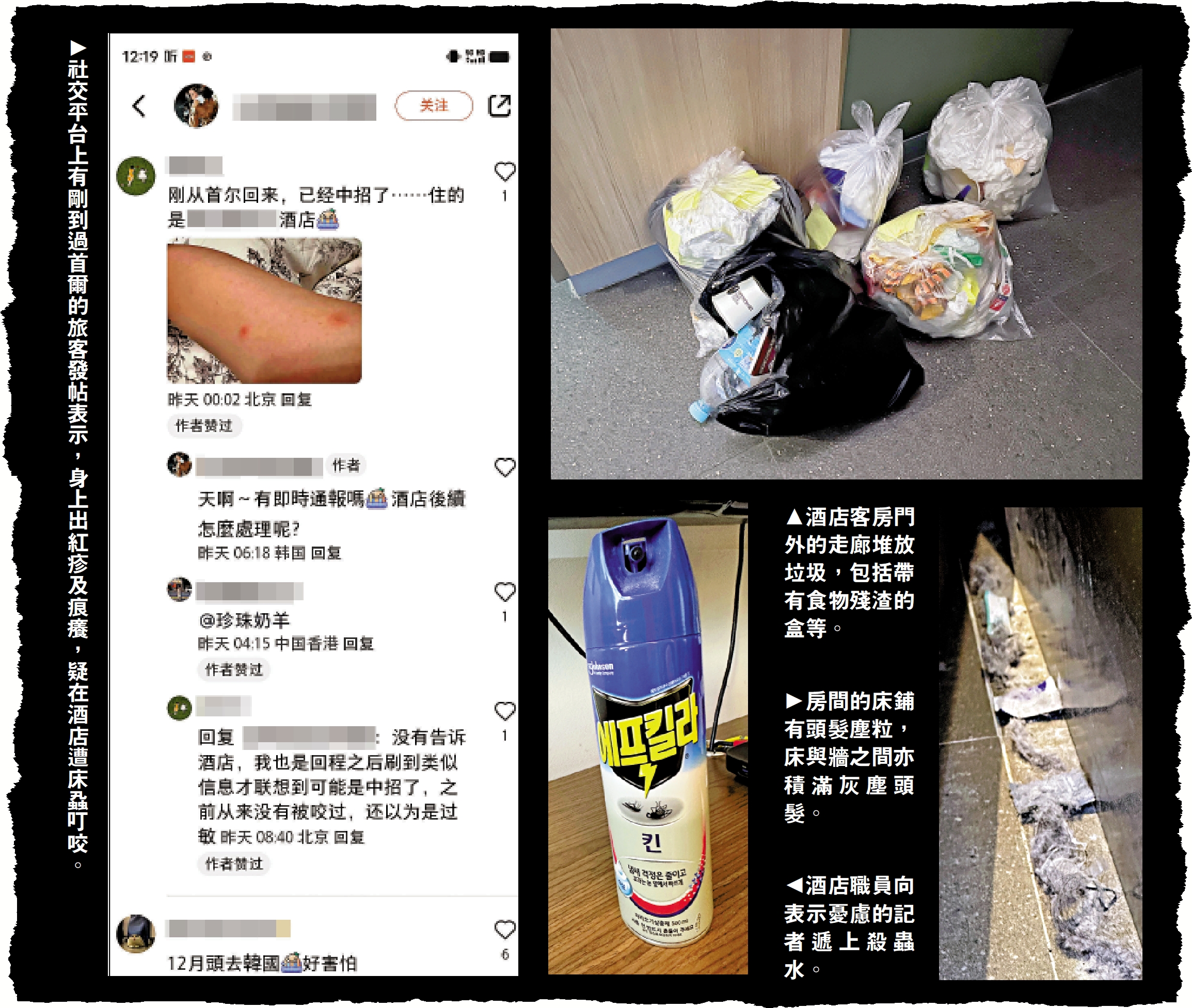 　　圖：社交平台上有剛到過首爾的旅客發帖表示，身上出紅疹及痕癢，疑在酒店遭床蝨叮咬。