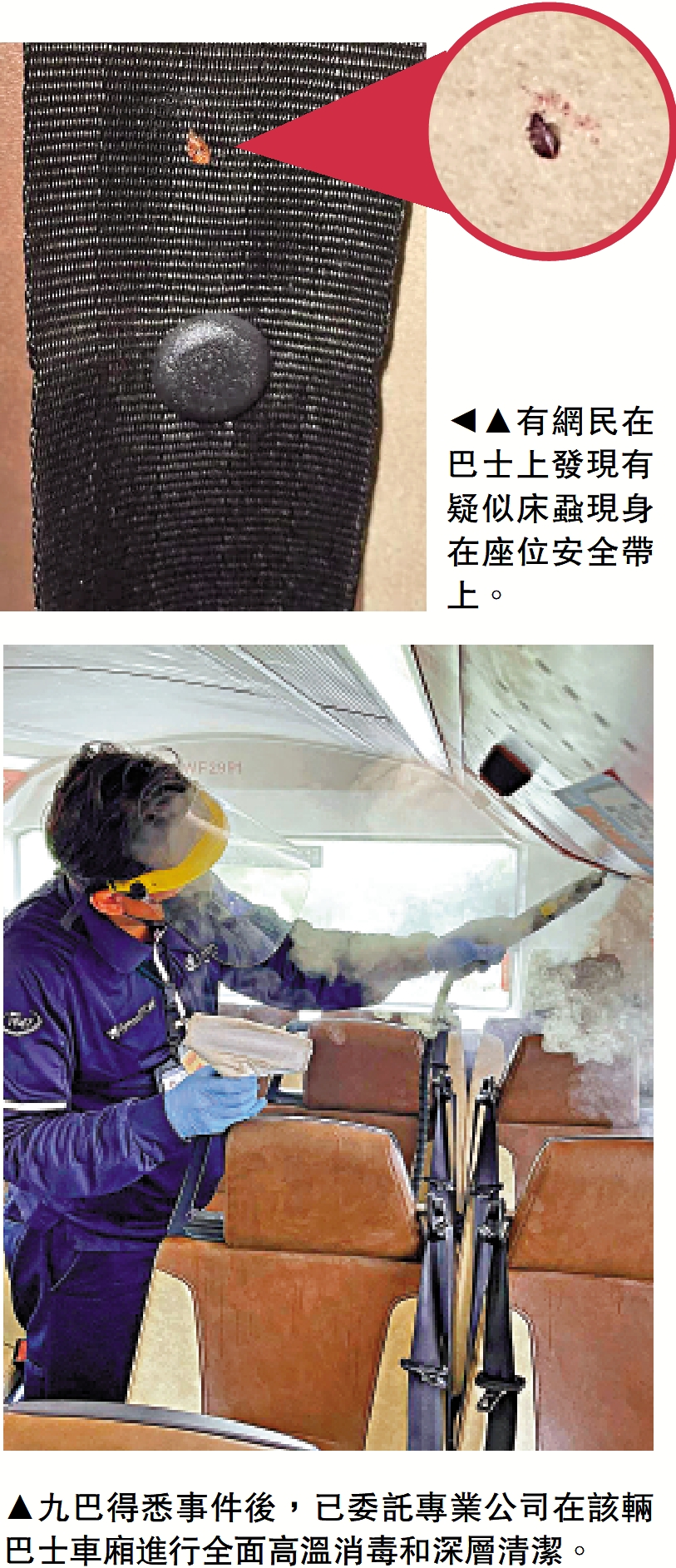 　　上圖：有網民在巴士上發現有疑似床蝨現身在座位安全帶上。下圖：九巴得悉事件後，已委託專業公司在該輛巴士車廂進行全面高溫消毒和深層清潔。