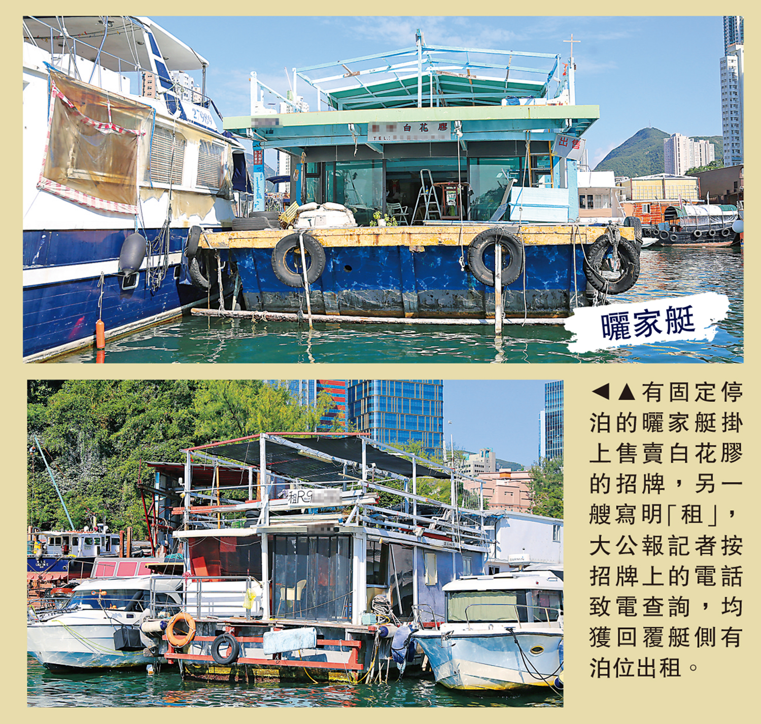 　　圖：有固定停泊的曬家艇掛上售賣白花膠的招牌，另一艘寫明「租」，大公報記者按招牌上的電話致電查詢，均獲回覆艇側有泊位出租。