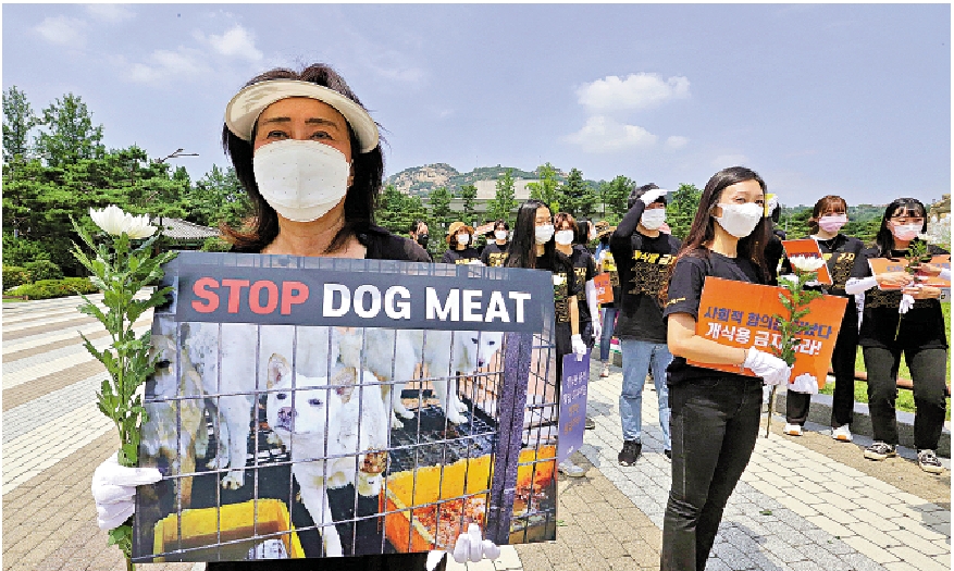 　　圖：韓國呼籲出台狗肉禁令已多年。圖為韓國動物保護活動人士2020年7月示威，反對韓國狗肉文化。\美聯社