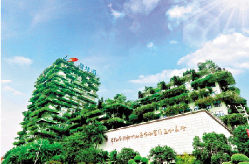 　　圖：碧桂園今年首11個月累計交付約50萬伙住宅，涉及240座城市。