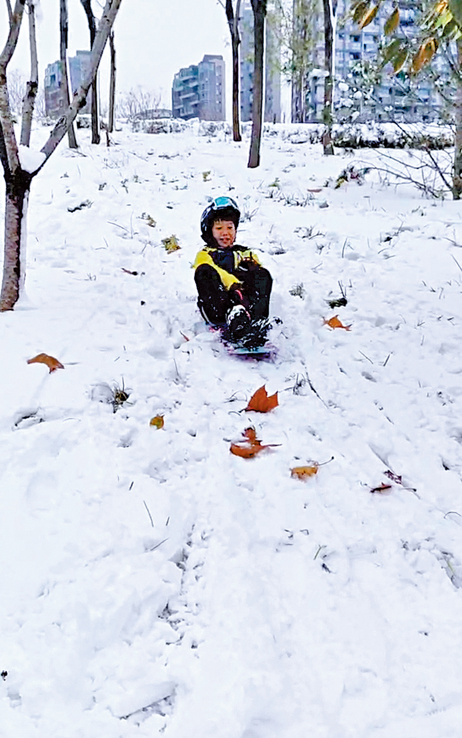 　　圖：雪下鄭州化身滑雪場，孩子們在公園滑雪。\大公報記者劉蕊攝