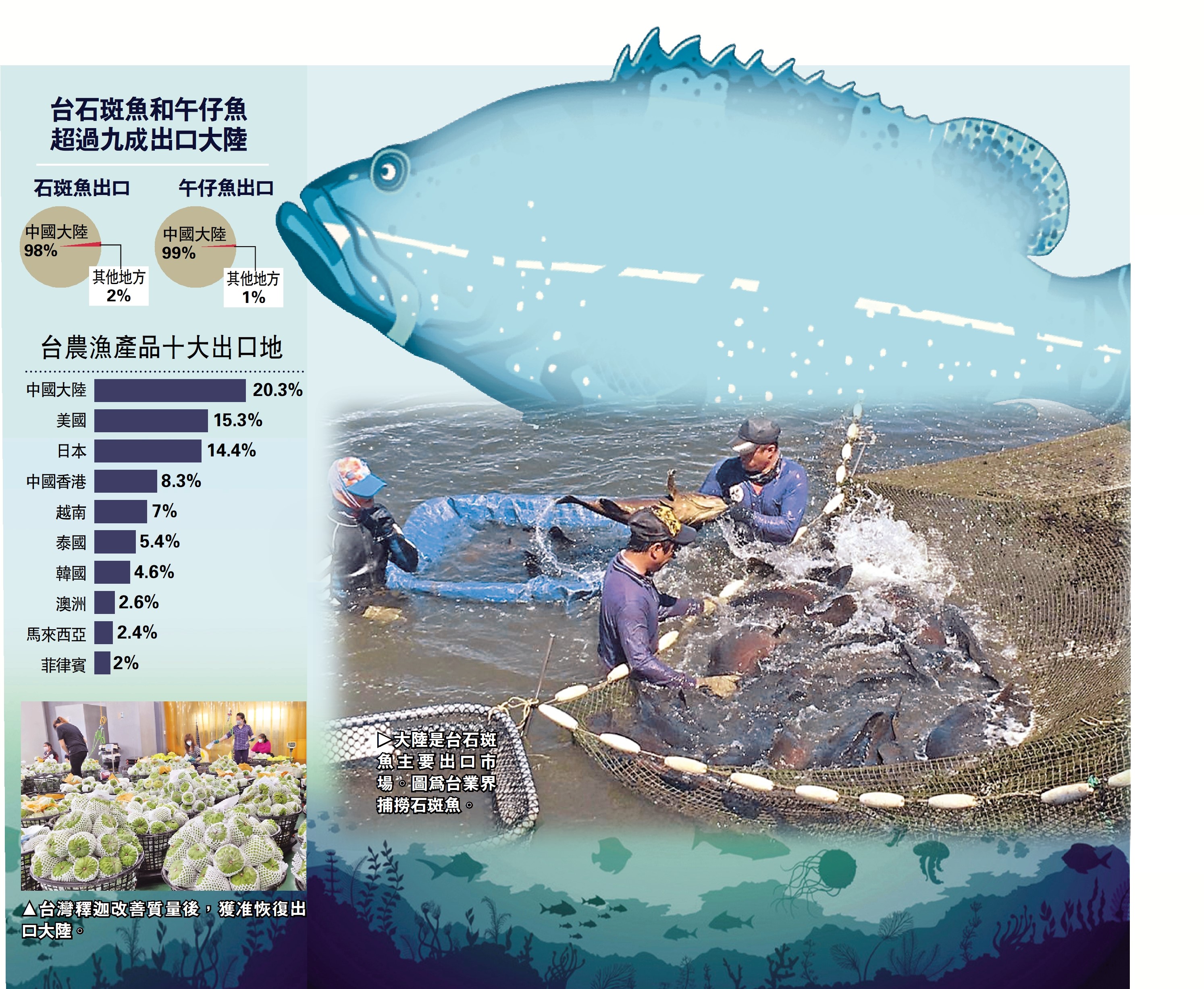 　　圖：台石斑魚和午仔魚超過九成出口大陸