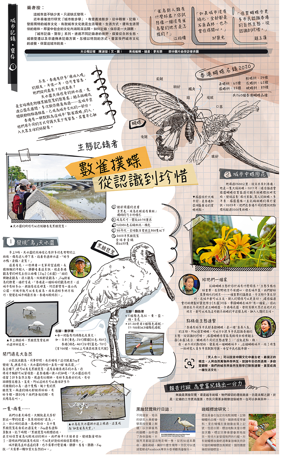 　　圖：生態記錄者 數雀撲蝶 從認識到珍惜