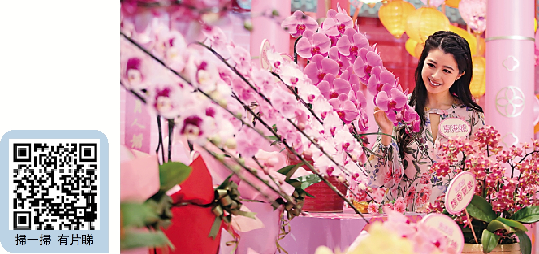 　　圖：有商場舉辦「新春花展會」，展示各款蘭花。\大公報記者麥潤田攝