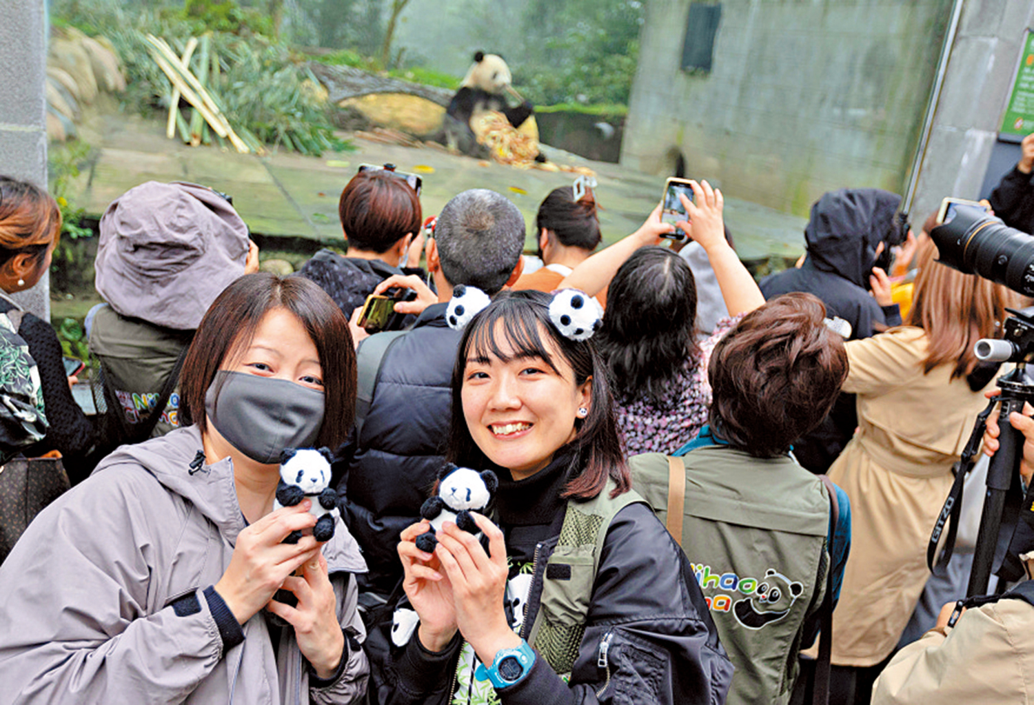 　　圖：去年11月8日，日本「探親團」成員在四川雅安看望在日出生的「香香」。\新華社