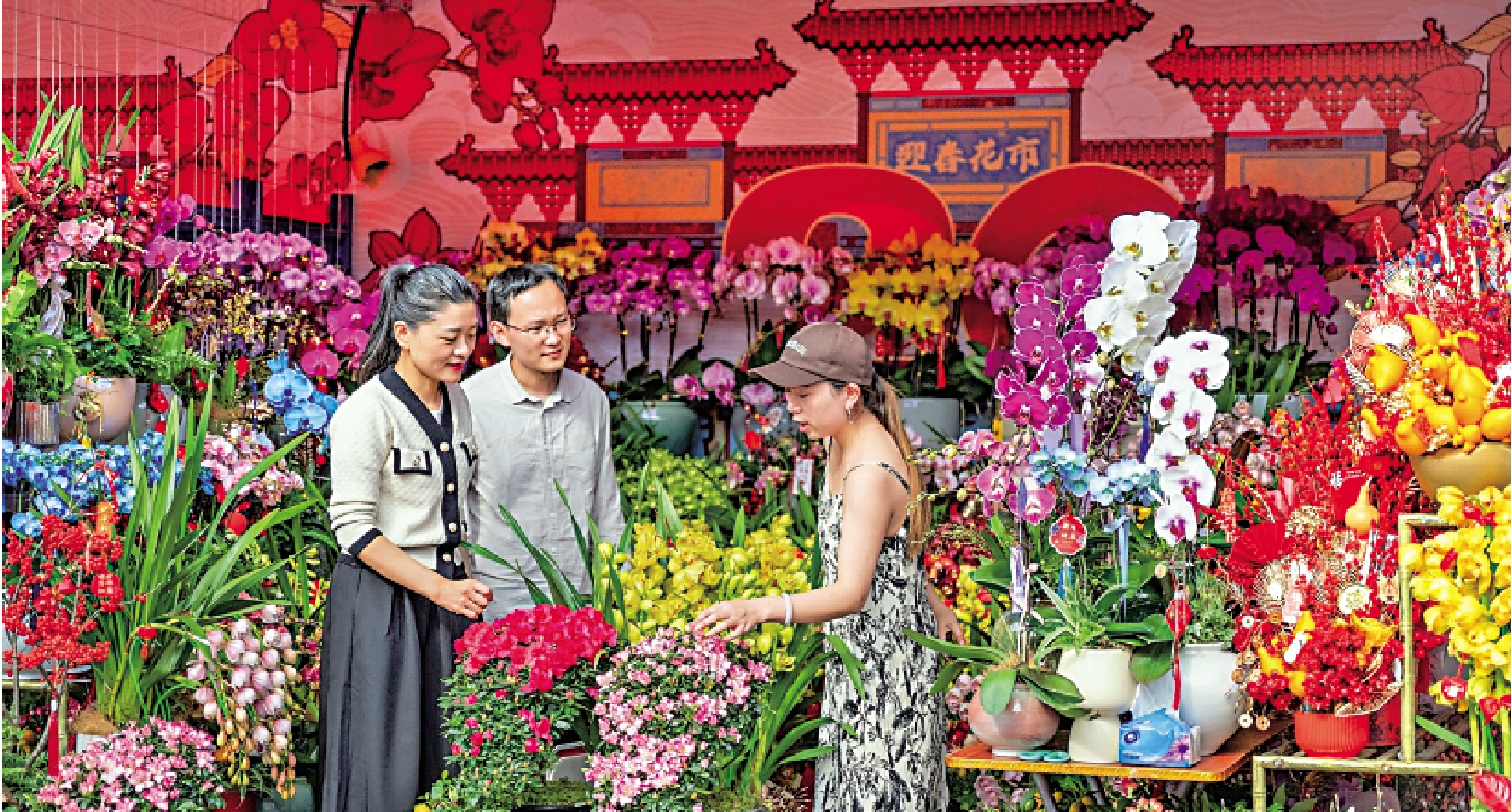 　　圖：2月3日，深圳2024迎春花市正式開市，民眾盡情選購年花。