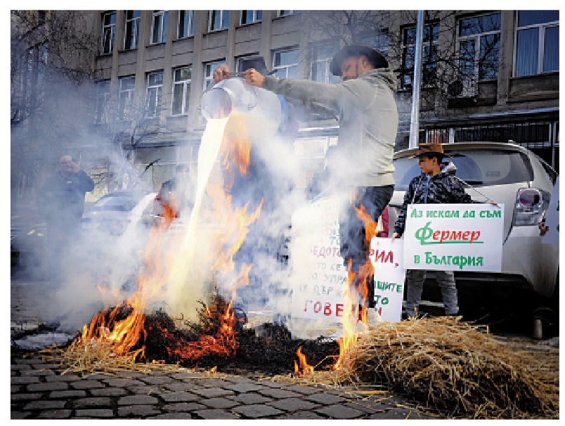 　　圖：保加利亞農民2月5日在首都索非亞農業部前抗議，將牛奶倒在燃燒的乾草上。\美聯社
